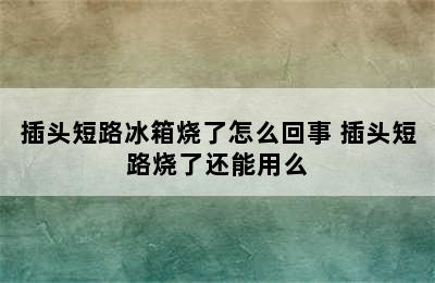 插头短路冰箱烧了怎么回事 插头短路烧了还能用么